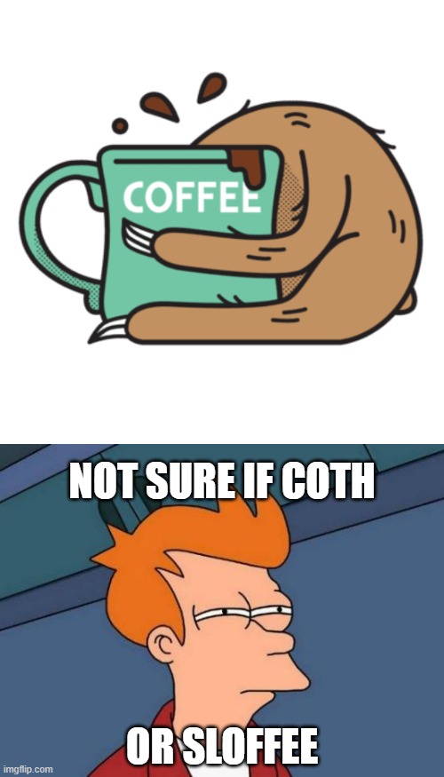 What do you call this thing? | NOT SURE IF COTH; OR SLOFFEE | image tagged in memes,futurama fry,coth,sloffee | made w/ Imgflip meme maker