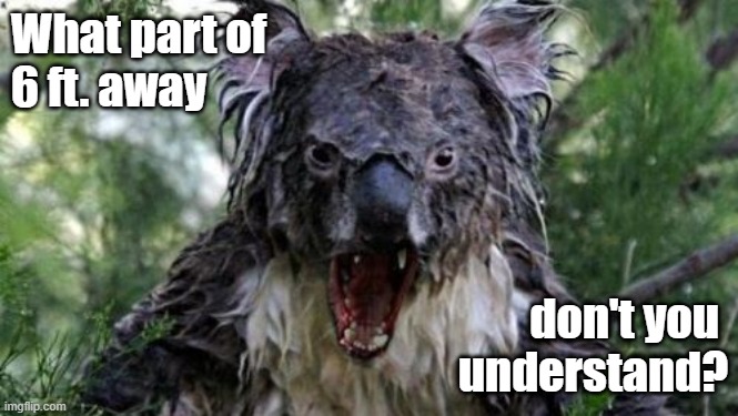 Angry Koala Meme | What part of
6 ft. away; don't you 
understand? | image tagged in memes,angry koala | made w/ Imgflip meme maker