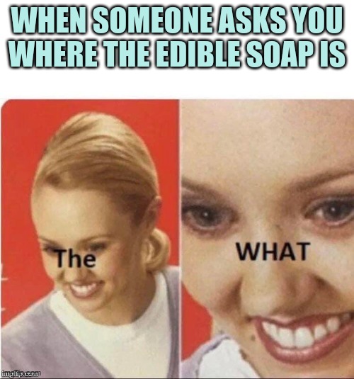 Who in their right mind would make edible soap? Like, BRUH | image tagged in the what,edible soap,memes | made w/ Imgflip meme maker