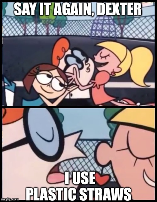 Say it Again | SAY IT AGAIN, DEXTER; I USE PLASTIC STRAWS | image tagged in memes,say it again dexter,fun,save the turtles,straws | made w/ Imgflip meme maker