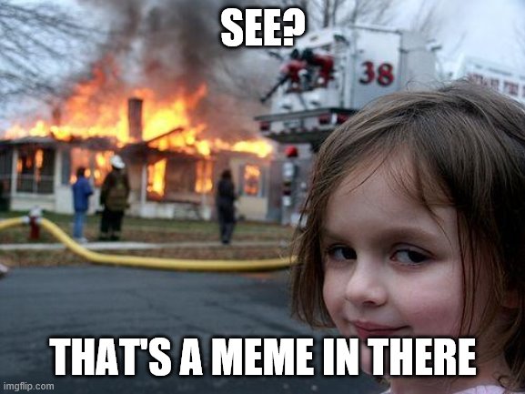 meme in the house | SEE? THAT'S A MEME IN THERE | image tagged in memes,disaster girl | made w/ Imgflip meme maker