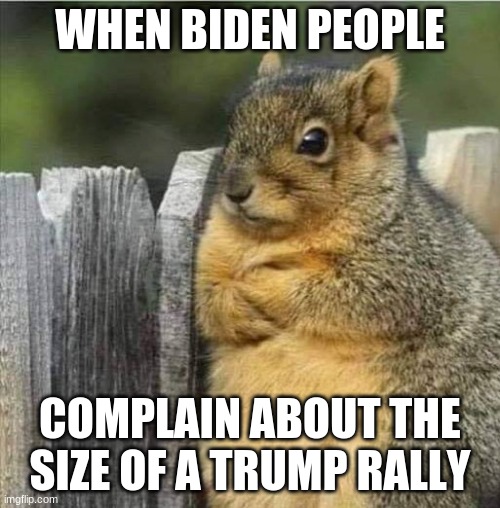 Our rallies can whip your rallies | WHEN BIDEN PEOPLE; COMPLAIN ABOUT THE SIZE OF A TRUMP RALLY | image tagged in annoyed squirrel,our rallies can whip your rallies,trump 2020,maga,size matters,you lose again | made w/ Imgflip meme maker