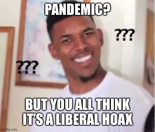 Nick Young | PANDEMIC? BUT YOU ALL THINK IT’S A LIBERAL HOAX | image tagged in nick young | made w/ Imgflip meme maker