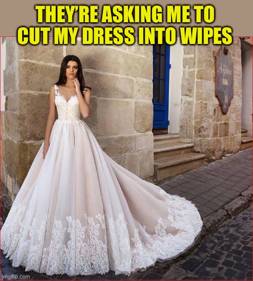 Wedding Dresses | THEY’RE ASKING ME TO CUT MY DRESS INTO WIPES | image tagged in wedding dresses | made w/ Imgflip meme maker