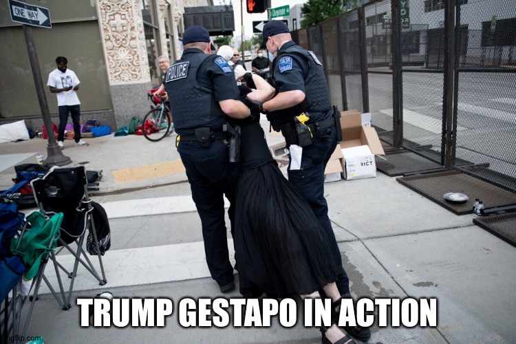 TRUMP GESTAPO IN ACTION | image tagged in gestapo | made w/ Imgflip meme maker