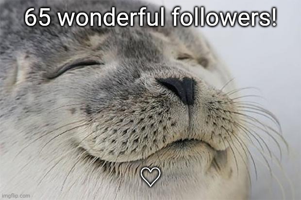 Satisfied Seal | 65 wonderful followers! ♡ | image tagged in memes,satisfied seal | made w/ Imgflip meme maker