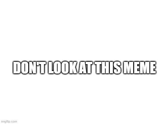 untitled image | DON'T LOOK AT THIS MEME | image tagged in blank white template | made w/ Imgflip meme maker