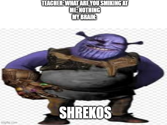 TEACHER: WHAT ARE YOU SMIKING AT
ME: NOTHING
MY BRAIN:; SHREKOS | image tagged in thanos snap,shrek,teacher | made w/ Imgflip meme maker