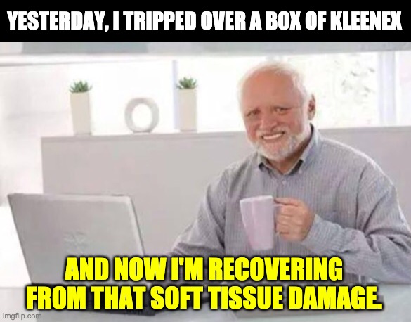 Harold | YESTERDAY, I TRIPPED OVER A BOX OF KLEENEX; AND NOW I'M RECOVERING FROM THAT SOFT TISSUE DAMAGE. | image tagged in harold | made w/ Imgflip meme maker