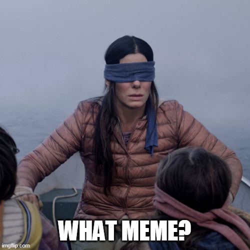 Bird Box Meme | WHAT MEME? | image tagged in memes,bird box | made w/ Imgflip meme maker