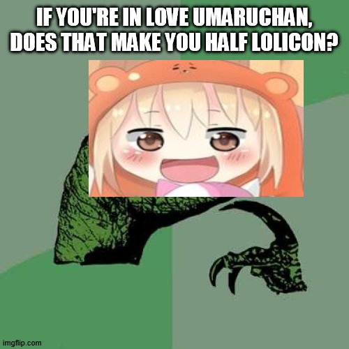hmmm | IF YOU'RE IN LOVE UMARUCHAN, DOES THAT MAKE YOU HALF LOLICON? | image tagged in memes,philosoraptor,umaru-chan,anime | made w/ Imgflip meme maker