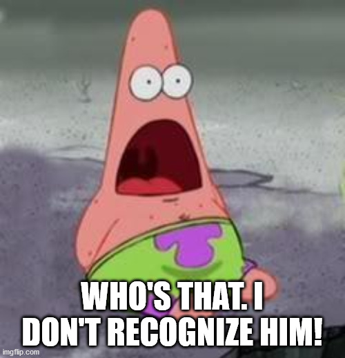 Suprised Patrick | WHO'S THAT. I DON'T RECOGNIZE HIM! | image tagged in suprised patrick | made w/ Imgflip meme maker