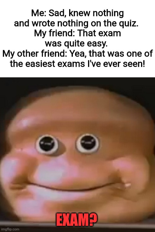 RIP | Me: Sad, knew nothing and wrote nothing on the quiz. 
My friend: That exam was quite easy. 
My other friend: Yea, that was one of the easiest exams I've ever seen! EXAM? | image tagged in the almighty loaf,gg,rip,exam,funny,school | made w/ Imgflip meme maker