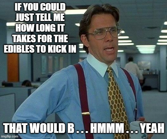 That Would Be Great | IF YOU COULD JUST TELL ME HOW LONG IT TAKES FOR THE EDIBLES TO KICK IN; THAT WOULD B . . . HMMM . . . YEAH | image tagged in memes,that would be great | made w/ Imgflip meme maker