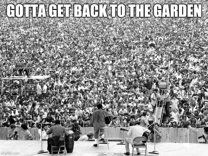 Woodstock | GOTTA GET BACK TO THE GARDEN | image tagged in woodstock | made w/ Imgflip meme maker
