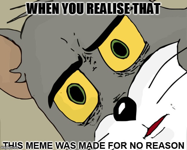 *insert a hysterical title here* | WHEN YOU REALISE THAT; THIS MEME WAS MADE FOR NO REASON | image tagged in memes,unsettled tom | made w/ Imgflip meme maker