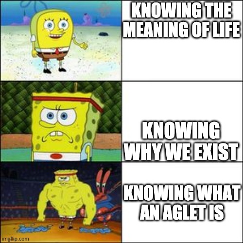 SpongeBob tough guy | KNOWING THE MEANING OF LIFE; KNOWING WHY WE EXIST; KNOWING WHAT AN AGLET IS | image tagged in spongebob tough guy,phineas and ferb | made w/ Imgflip meme maker