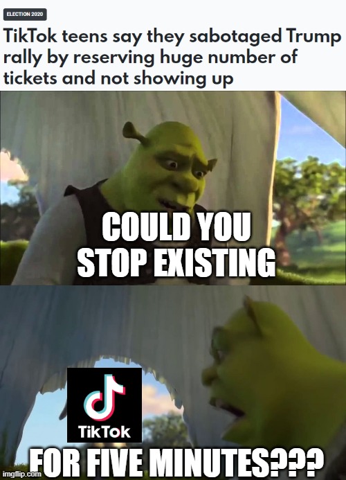 Tiktok does it again | COULD YOU STOP EXISTING; FOR FIVE MINUTES??? | image tagged in shrek five minutes,trump,trump rally,tiktok,shrek,donald trump | made w/ Imgflip meme maker