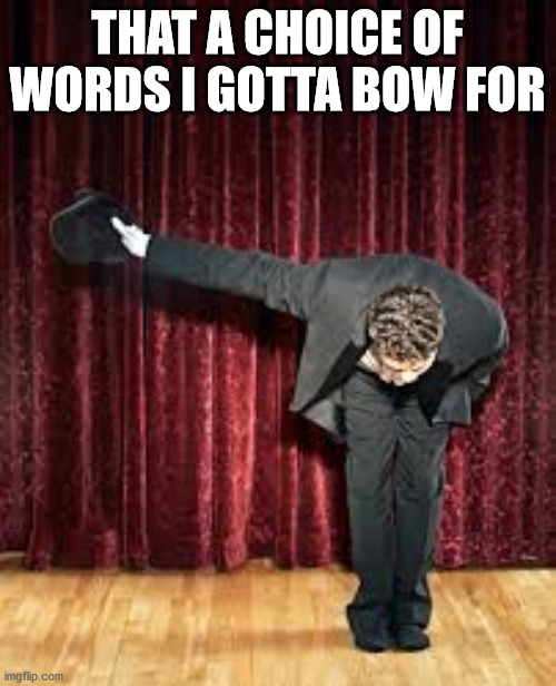 Take a bow. | THAT A CHOICE OF WORDS I GOTTA BOW FOR | image tagged in take a bow | made w/ Imgflip meme maker