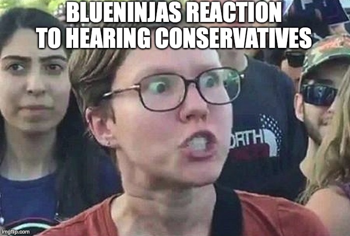 Triggered snowflake | BLUENINJAS REACTION TO HEARING CONSERVATIVES | image tagged in triggered snowflake | made w/ Imgflip meme maker