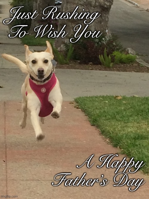 Happy Father’s Day | Just Rushing To Wish You; A Happy Father’s Day | image tagged in fathers day,dog | made w/ Imgflip meme maker