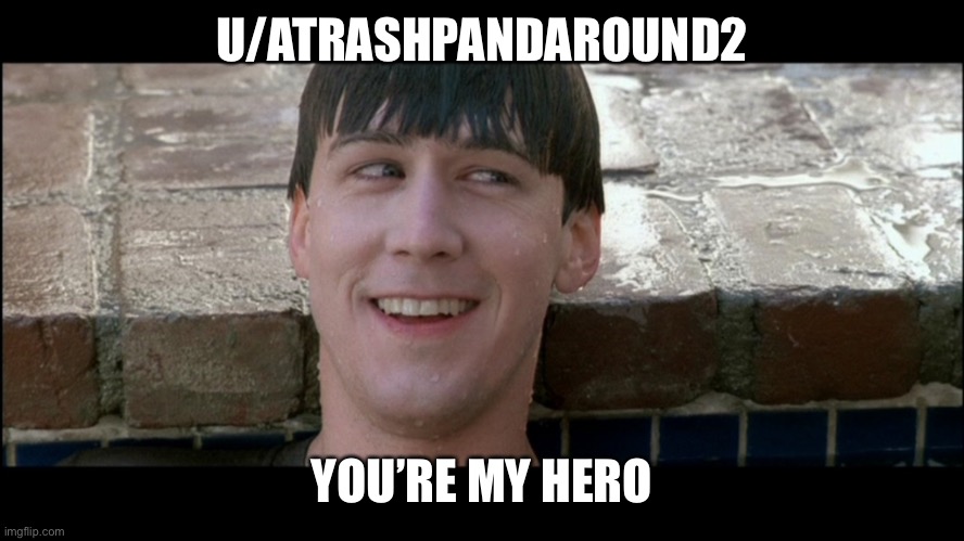 Ferris Bueller You're My Hero | U/ATRASHPANDAROUND2; YOU’RE MY HERO | image tagged in ferris bueller you're my hero | made w/ Imgflip meme maker