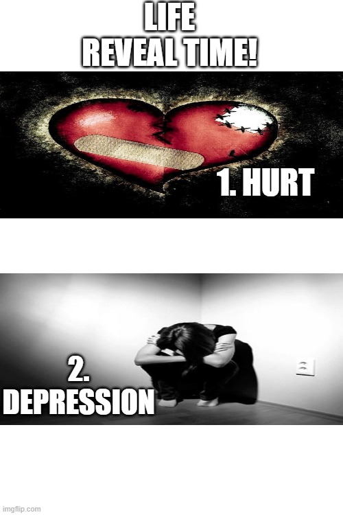 LIFE REVEAL TIME! 1. HURT; 2. DEPRESSION | image tagged in blank white template | made w/ Imgflip meme maker