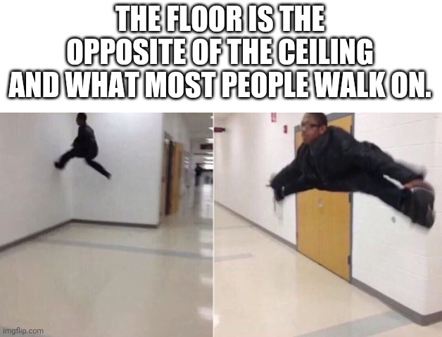 The floor is | THE FLOOR IS THE OPPOSITE OF THE CEILING AND WHAT MOST PEOPLE WALK ON. | image tagged in the floor is | made w/ Imgflip meme maker