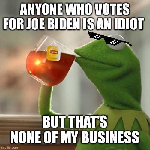 But That's None Of My Business | ANYONE WHO VOTES FOR JOE BIDEN IS AN IDIOT; BUT THAT’S NONE OF MY BUSINESS | image tagged in memes,but that's none of my business,kermit the frog | made w/ Imgflip meme maker
