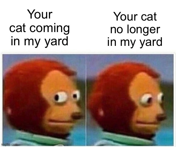 Monkey Puppet Meme | Your cat no longer in my yard; Your cat coming in my yard | image tagged in memes,monkey puppet | made w/ Imgflip meme maker