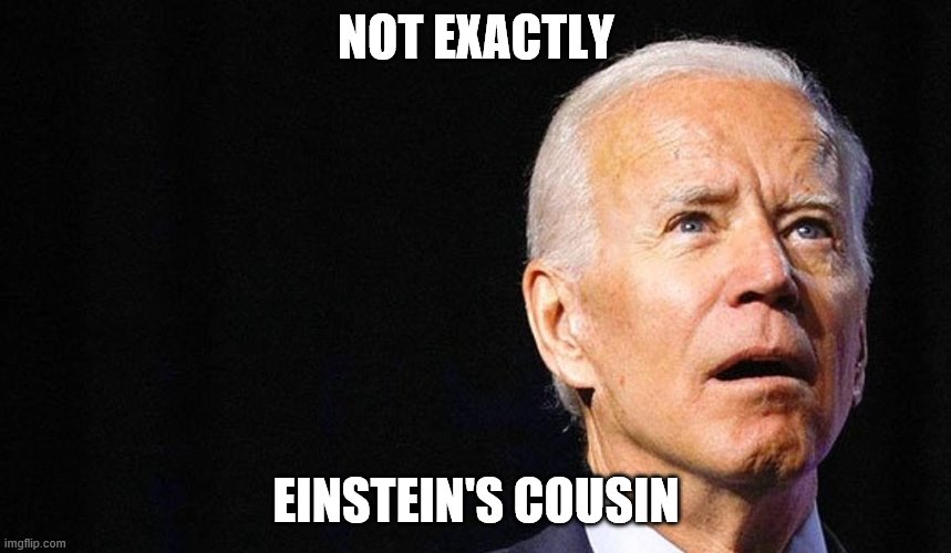 Joe | NOT EXACTLY; EINSTEIN'S COUSIN | image tagged in joe | made w/ Imgflip meme maker