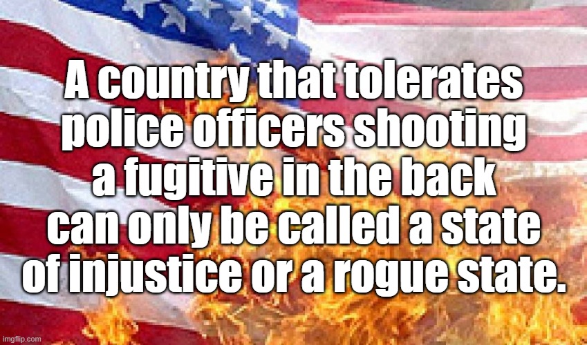 A country that tolerates police officers shooting a fugitive in the back can only be called a state of injustice or a rogue state. | image tagged in usa,police brutality,politics | made w/ Imgflip meme maker