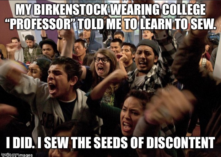 Angry college students | MY BIRKENSTOCK WEARING COLLEGE “PROFESSOR” TOLD ME TO LEARN TO SEW. I DID. I SEW THE SEEDS OF DISCONTENT | image tagged in angry college students | made w/ Imgflip meme maker