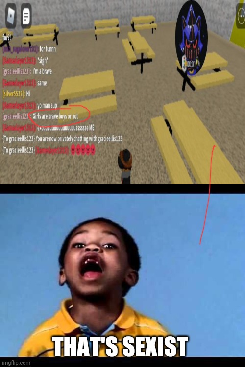 That's sexist!!!!!!! Don't be sexist | THAT'S SEXIST | image tagged in that's racist 2,sexist,roblox,video games,triggered | made w/ Imgflip meme maker