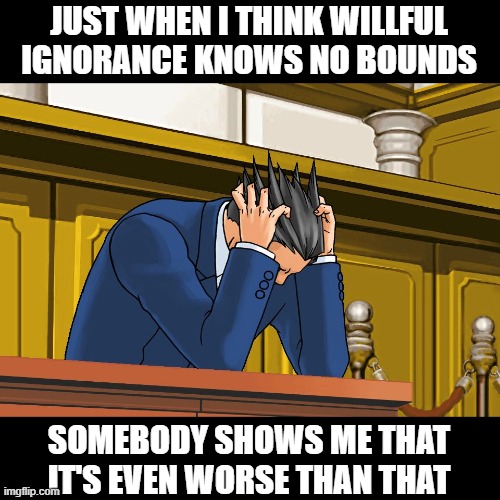 imgflip has proven to be useful for something | JUST WHEN I THINK WILLFUL IGNORANCE KNOWS NO BOUNDS; SOMEBODY SHOWS ME THAT IT'S EVEN WORSE THAN THAT | image tagged in phoenix wright despair,memes,willful ignorance,no bounds | made w/ Imgflip meme maker