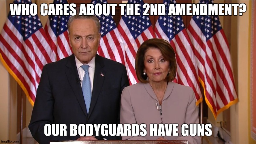 Chuck and Nancy | WHO CARES ABOUT THE 2ND AMENDMENT? OUR BODYGUARDS HAVE GUNS | image tagged in chuck and nancy | made w/ Imgflip meme maker