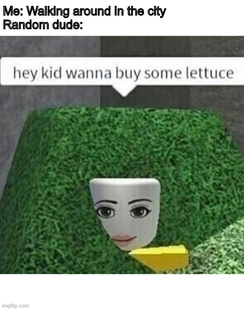 Lettuce. | Me: Walking around in the city
Random dude: | image tagged in roblox,lettuce | made w/ Imgflip meme maker