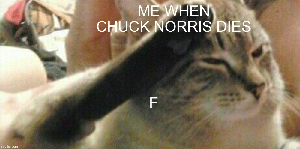 press f cat | ME WHEN CHUCK NORRIS DIES; F | image tagged in press f cat,memes | made w/ Imgflip meme maker