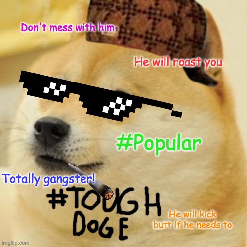 Tough Doge | Don't mess with him; He will roast you; #Popular; Totally gangster! He will kick butt if he needs to | image tagged in memes,doge,tough | made w/ Imgflip meme maker
