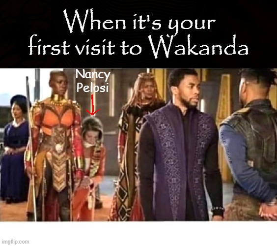 Image tagged in nancy pelosi first visit to wakanda - Imgflip