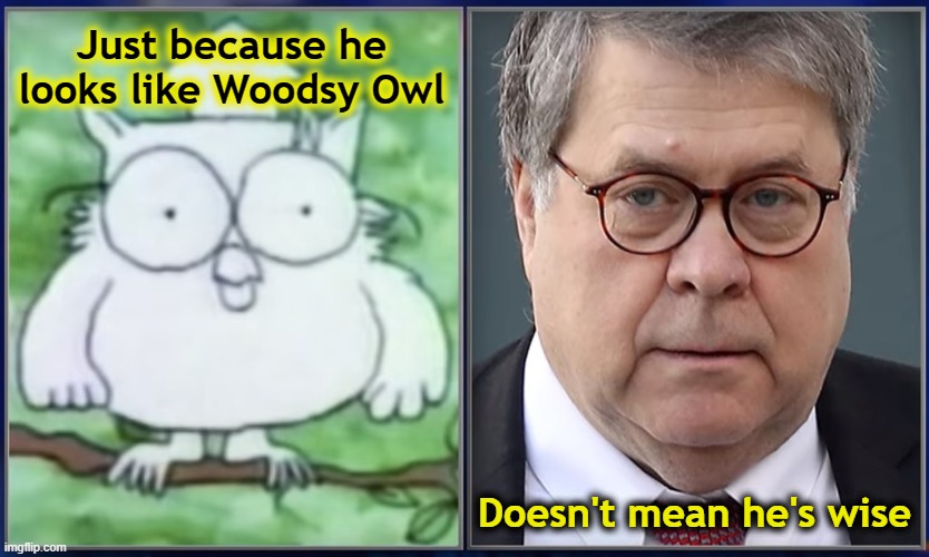 Disbar Barr | Just because he looks like Woodsy Owl; Doesn't mean he's wise | image tagged in attorney general,william barr,bill barr,barr | made w/ Imgflip meme maker