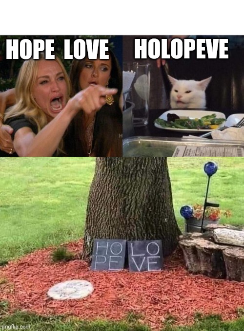 HOLOPEVE? | HOLOPEVE; HOPE  LOVE | image tagged in memes,woman yelling at cat | made w/ Imgflip meme maker