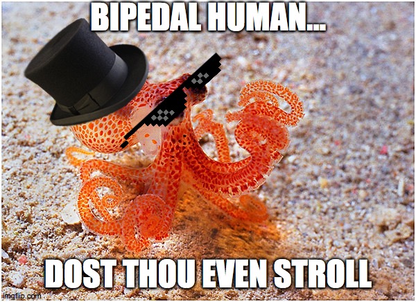 Sir octopus | BIPEDAL HUMAN... DOST THOU EVEN STROLL | image tagged in sir octopus | made w/ Imgflip meme maker