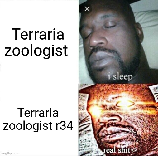 Sleeping Shaq Meme | Terraria zoologist; Terraria zoologist r34 | image tagged in memes,sleeping shaq | made w/ Imgflip meme maker