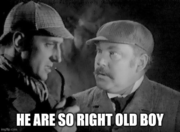 Holmes and Watson | HE ARE SO RIGHT OLD BOY | image tagged in holmes and watson | made w/ Imgflip meme maker