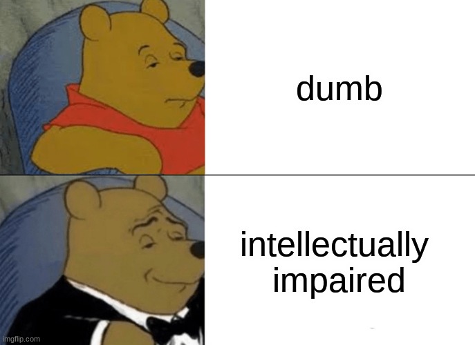 Tuxedo Winnie The Pooh Meme | dumb; intellectually 
impaired | image tagged in memes,tuxedo winnie the pooh | made w/ Imgflip meme maker