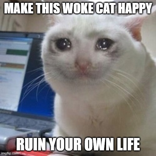 Woke Crying Cat | MAKE THIS WOKE CAT HAPPY; RUIN YOUR OWN LIFE | image tagged in crying cat | made w/ Imgflip meme maker