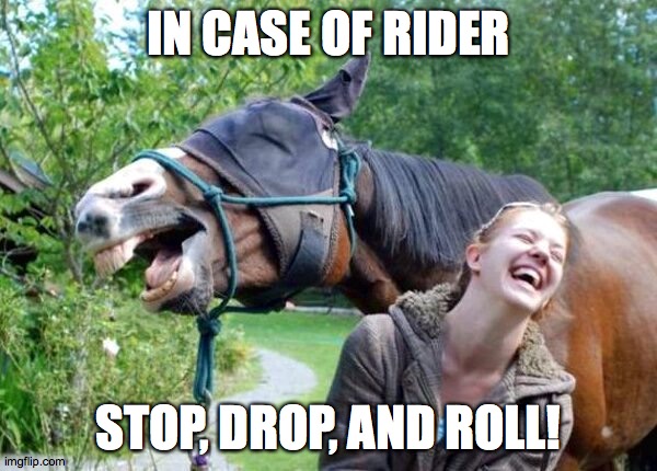 #ponies |  IN CASE OF RIDER; STOP, DROP, AND ROLL! | image tagged in horses | made w/ Imgflip meme maker