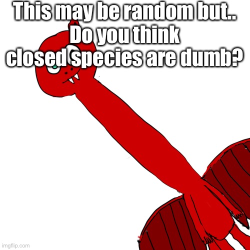 B | This may be random but..
Do you think closed species are dumb? | image tagged in blaze with necc | made w/ Imgflip meme maker