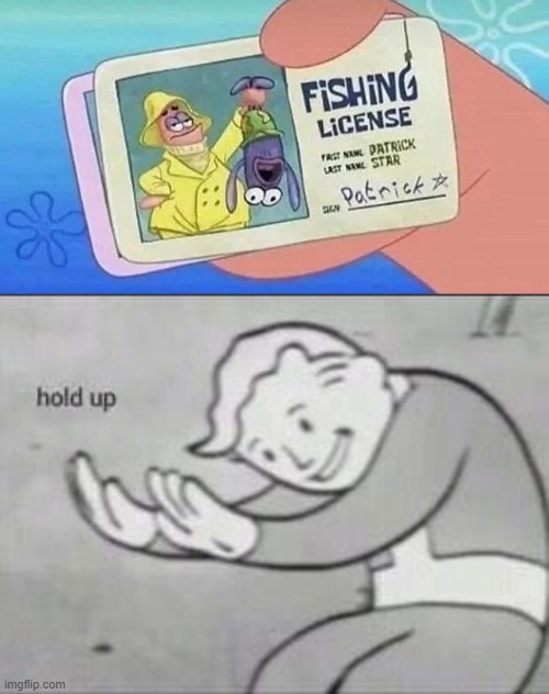 What. The. Hell | image tagged in fallout hold up,memes,funny,spongebob,fish | made w/ Imgflip meme maker